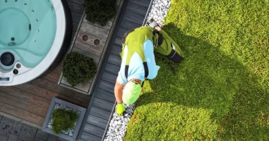 Architekt krajobrazu kończy instalację zielonego dachu