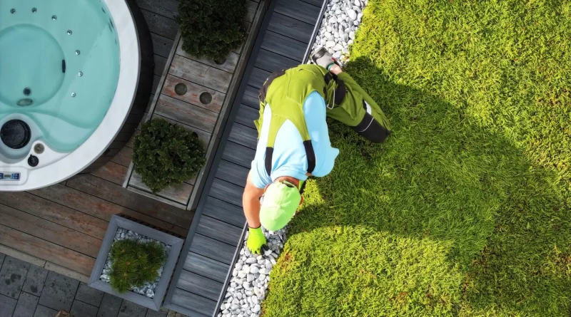 Architekt krajobrazu kończy instalację zielonego dachu