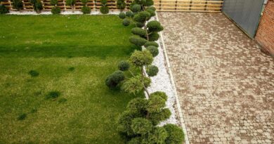 Prosty projekt ogrodu.