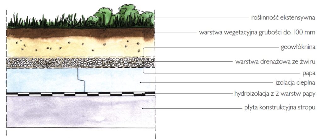 Schemat warstw technicznych dachu zielonego: hydroizolacja, drenaż, geowłóknina filtracyjna i substrat.