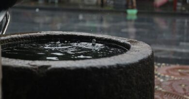 Zbieranie deszczówki – jak efektywnie zbierać wodę opadową i wykorzystać ją w domu oraz ogrodzie? water, rain, nature, water tank